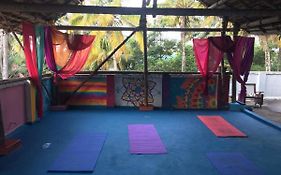Mk Gardens Surf & Yoga House